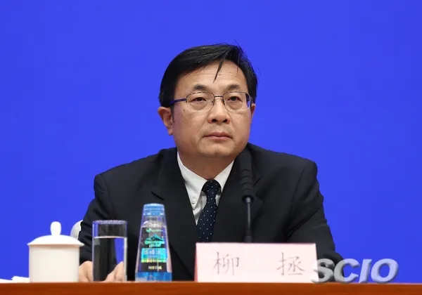 民政部社会组织管理局（社会组织执法监督局）局长 柳拯.webp.jpg